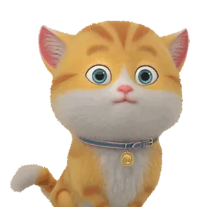 Kedi ürünleri